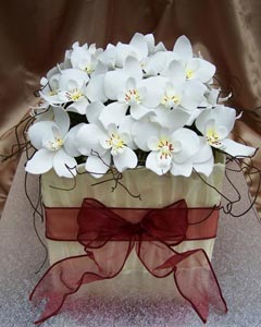 Small square wedding cake decorated with burgundy organza ribbon and bow